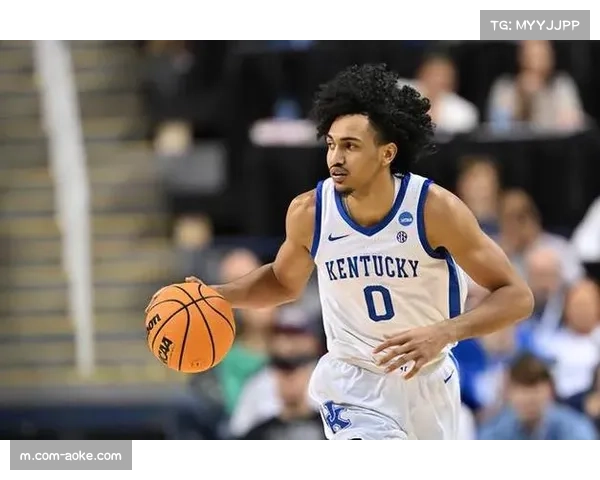 阿奴诺比3D属性价值维持 尼克斯防守体系依赖锋线多功能性